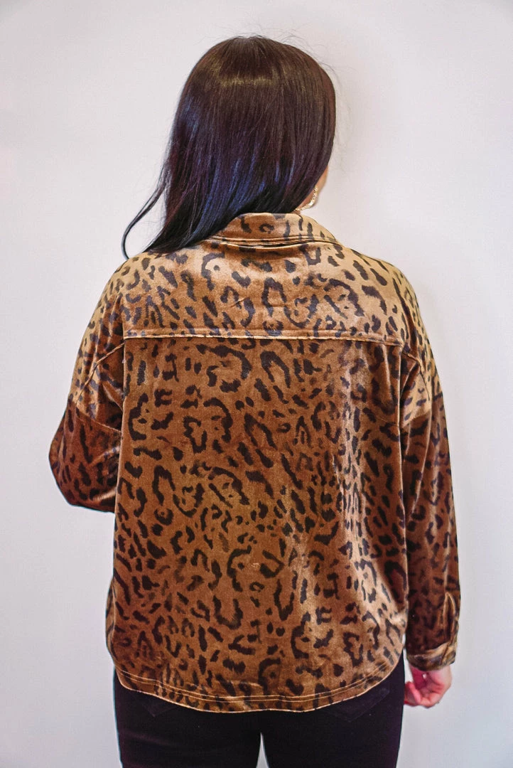 Purple Door Boutique Ladies' Chocolate Velvet Leopard Print Top 6 Purple Door Boutique Ladies' Chocolate Velvet Leopard Print Top